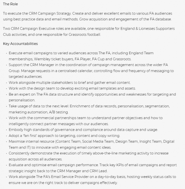 CRM Campaign Executive